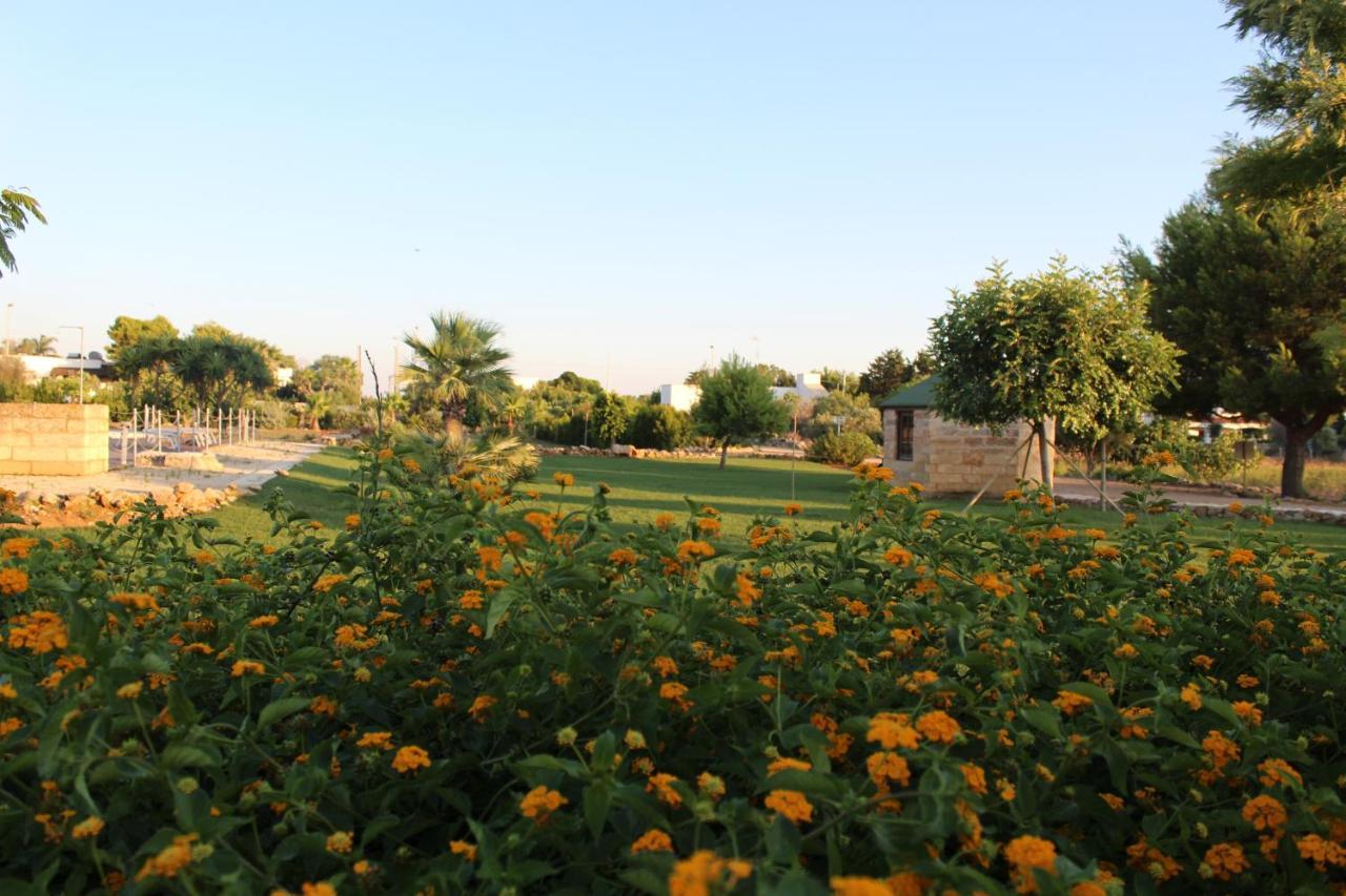 أليستي Stella Marina B&B المظهر الخارجي الصورة